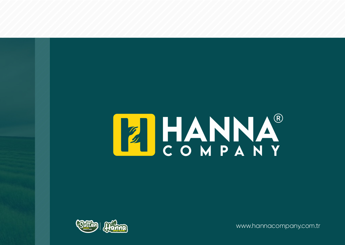 hanna 1